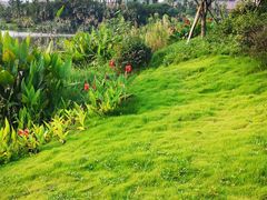 -枫香湖儿童公园