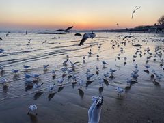 -老虎石海上公园