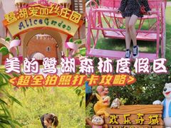-美的鹭湖森林度假区