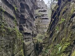 -梭布垭石林景区