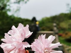 -南京市江宁方山