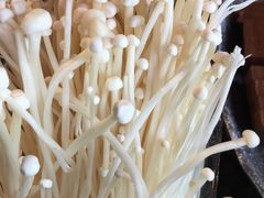 -王家渡火锅店(棕榈泉店)