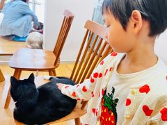 -是阿柴呀！柴犬咖啡·爱喵喵猫咖