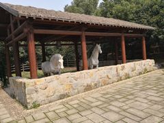 -白马涧龙池景区