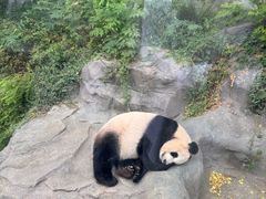 -宁邦·家宴·南京菜(红山动物园店)