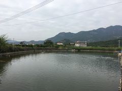-英姐农家乐