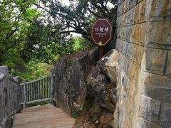 -塔云山