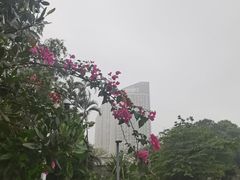 -万绿园