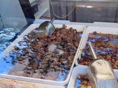 -鑫记婆婆兔·成都特产·兔头手撕兔(太古里店)