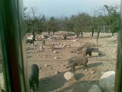 -西安秦岭野生动物园