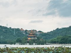 -顺峰山公园