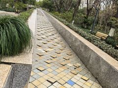 -苏州河梦清园环保主题公园