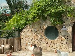 景点-南宫五洲植物乐园