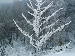-富龙滑雪场