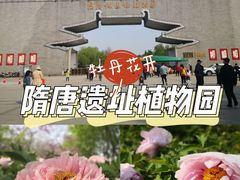 -洛阳市隋唐城遗址植物园