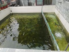 -钰田大院·碳烤虹鳟鱼·怀柔地道农家菜(雁栖湖店)