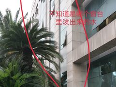 -四川省人民医院(本部)