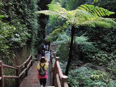 -赤水丹霞旅游区·佛光岩