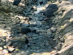 -燕塞湖鸟语林景区