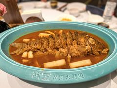 -阿五黄河大鲤鱼(海尚店)