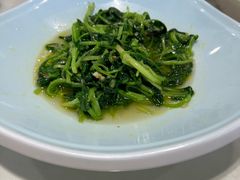 -冶春茶社(珍园店)