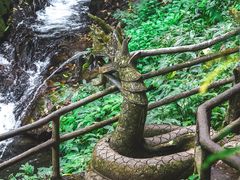 -莫里热带雨林景区