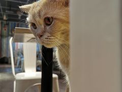 -小时光咖啡馆(开森度假森林店)