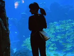 -成都浩海立方海洋公园