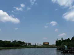 -宁波杭州湾国家湿地公园