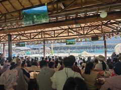 -野象谷景区