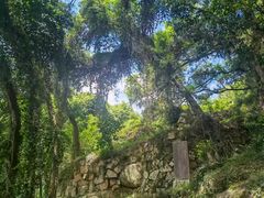 -青芝山风景名胜区