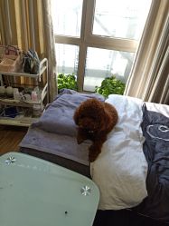 -JERRY日式美甲美睫纹绣工坊