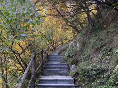 -西安祥峪森林公园