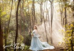 -柠檬树摄影(红谷滩店)