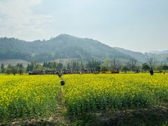 -径山花海