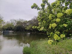 -西溪国家湿地公园