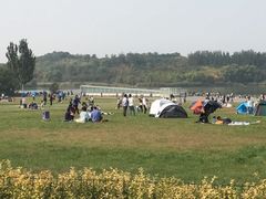 -林栖谷森林康养度假区