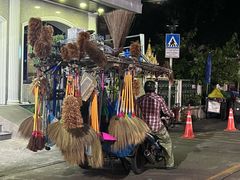 -Kinnaree by Vanessa WU