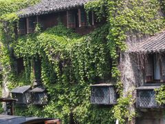 -乌镇景区