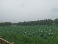 -北京上庄水库尚野露天户外自助烧烤