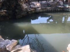 -漫渡庄绿岛花园•隐世庭园菜(滨湖店)