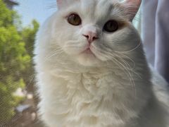 -爱侣宠医·鹦鹉专科·小型哺乳类·异宠专科(灵石路店)