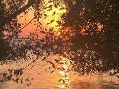 -宝安西湾红树林湿地公园