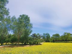 -北坞公园