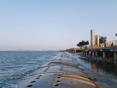 -东疆建设开发纪念公园