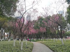 -重庆市江北嘴中央商务区中央公园