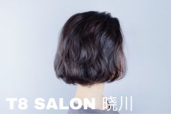 -T8 SALON