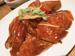 -宁波柏悦酒店·钱湖渔港