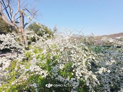 -中国茶叶博物馆(双峰馆区)