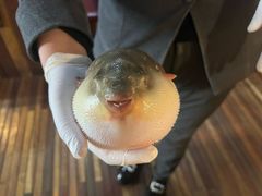 -永安鱼庄·镇江菜(丁卯店)